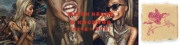 крисы Белокуриха
