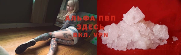крисы Белокуриха