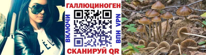 Псилоцибиновые грибы Psilocybine cubensis  Видное 
