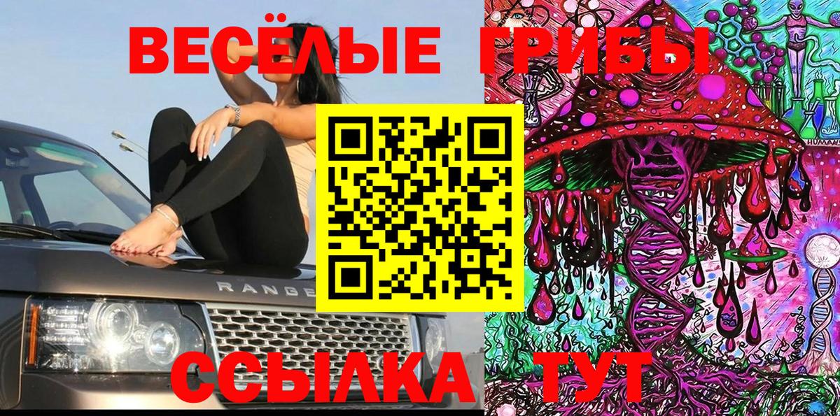 Псилоцибиновые грибы Cubensis Видное