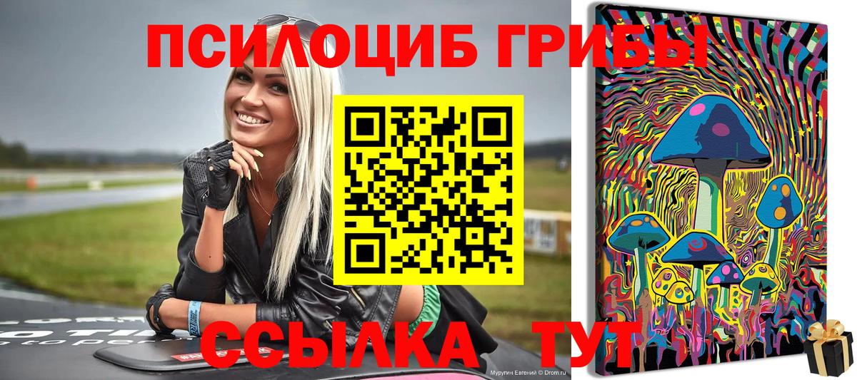 Галлюциногенные грибы Magic Shrooms  купить   Видное  Вход с VPN 